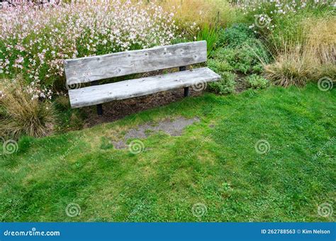 Rustic Wood Plank Bench in a Summer Garden Full of Flowers Blooming Stock Image - Image of ...