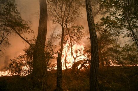 Los Angeles conducts evacuations as first wildfires of the season burn ...