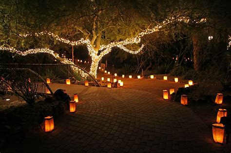 Las Noches de Las Luminarias - Desert Botanical Garden (Phoenix) | Desert botanical garden, Best ...