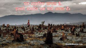 वनोन्मूलन पर नारा - Unique and Catchy Slogans on Deforestation in Hindi