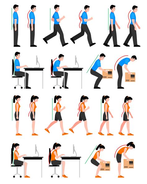 Posture Guide | Good vs. Bad Posture | The Natural Posture