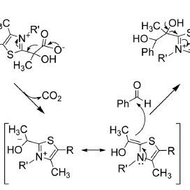 Thiamine pyrophosphate (TPP) structure. | Download Scientific Diagram