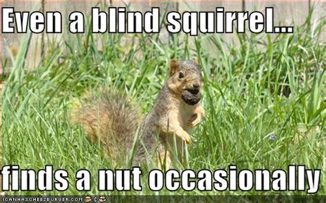 Even a blind squirrel... finds a nut occasionally - Cheezburger - Funny ...