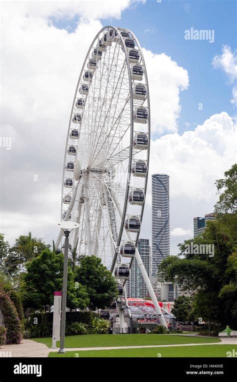 'Wheel of Brisbane' Ferris wheel, South Bank Parklands, South Bank ...