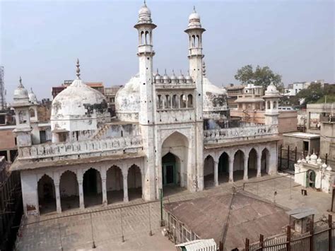 Video: ASI begins scientific survey of Gyanvapi mosque complex