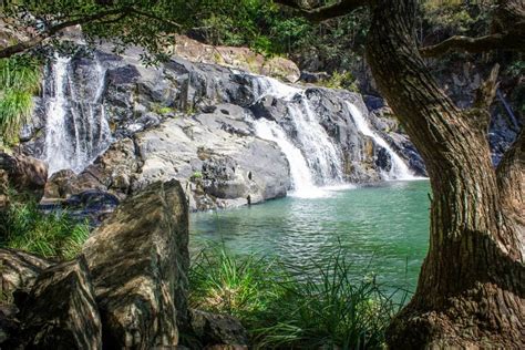 Booloumba Falls, Conondale National Park | Day Trips from Brisbane