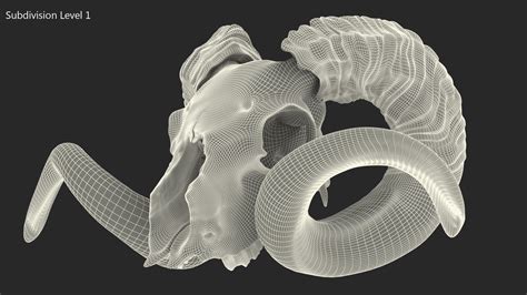 Ram Skull with Dark Horns 3D Model $59 - .3ds .blend .c4d .fbx .max .ma ...