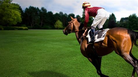 sports, equestrian, horse Wallpaper, HD Sports 4K Wallpapers, Images and Background - Wallpapers Den