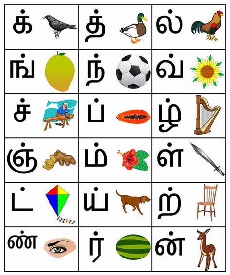 Tamil Alphabets in English Chart | SEG