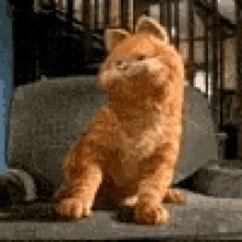 Garfield Dancing GIFs | Tenor