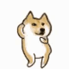 Doge Dance GIFs | Tenor