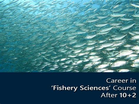 ‘Fishery Sciences’ Career Course After 12th. – Education, Motivation and Information for You & All