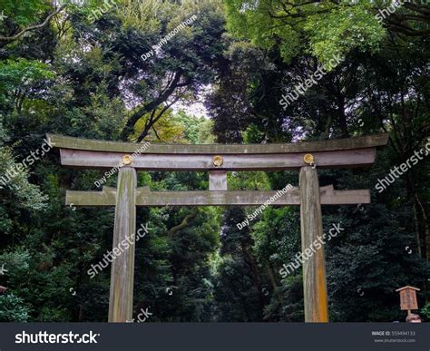 Torii Wooden Gate Meiji Shrine Meijijingu Stock Photo 559494133 ...