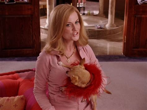 Amy in Mean Girls - Amy Poehler Image (7197524) - Fanpop