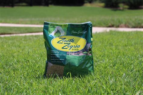 Where To Get Zoysia Grass Seed | Storables