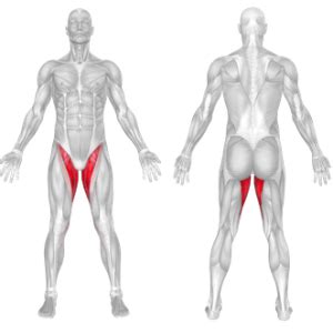 How To Do Cable Hip Adduction | Muscles Worked And Benefits