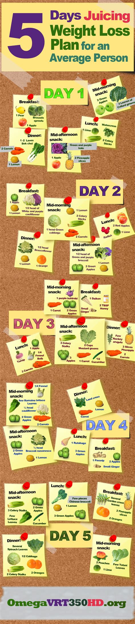 5 Days Juicing Weight Loss Plan for an Average Person #infographic - Visualistan