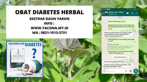 Obat Herbal Diabetes Daun Insulin - YouTube