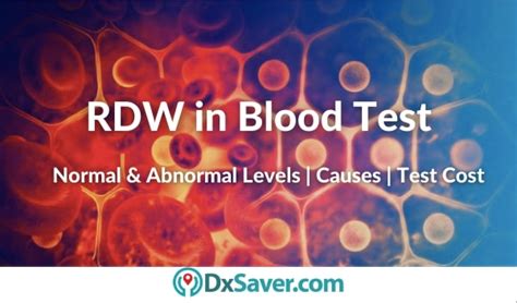 RDW Blood Test Normal Levels | Causes of High & Low Levels | Get Tested ...