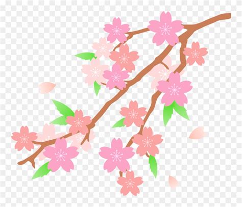 sakura clip art 10 free Cliparts | Download images on Clipground 2024