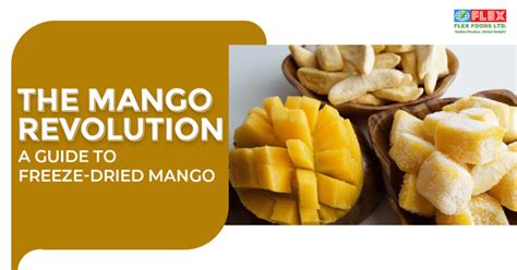 DThe Mango Revolution: A Guide to Freeze-Dried Mango