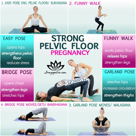 Four Must Do Pelvic Floor Exercises During Pregnancy - Jivayogalive