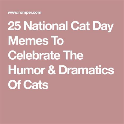 25 National Cat Day Memes To Celebrate The Humor & Dramatics Of Cats ...