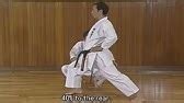 Kenpo Karate - More Stances, Stance Changes and Strikes Part #1, Cat Stance - YouTube