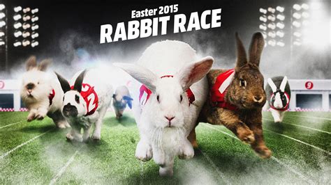 Media Markt Rabbit Race 2015 :: Behance