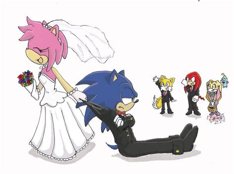 Sonamy wedding | Sonic, Funny gif, Sonic and amy