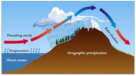 Locality Factors - Topographical/Physiographic Factors in Detail - Forestrypedia