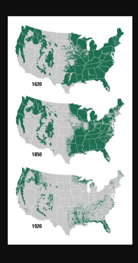 Deforestation in the United States 1620-1926 : r/Maps