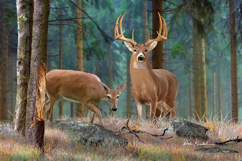 Whitetail Deer Art Print - Forest Deer Painting by Dale Kunkel Art | Pixels