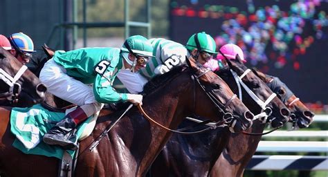 Saratoga Race Course | New York By Rail