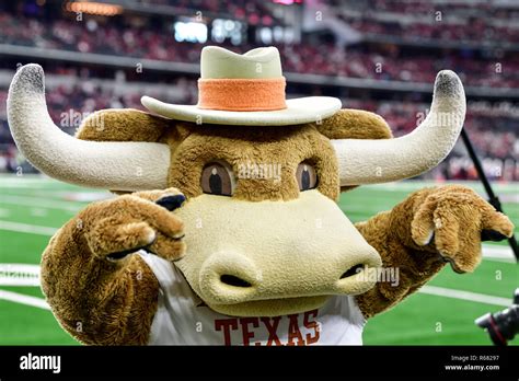 Texas longhorns mascot hi-res stock photography and images - Alamy