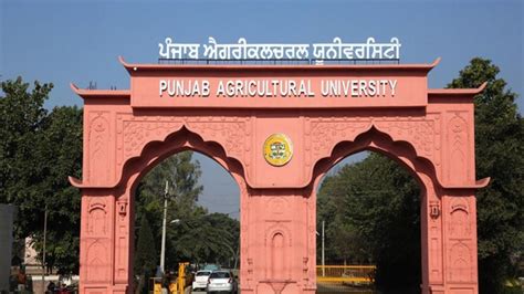 Punjab Agricultural University opens applications for Innovative Farmer Awards 2020 – Agrigate ...