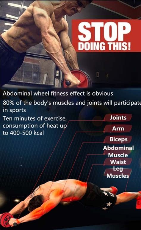 Ab Wheel Tips | Ab wheel workout, Workout, Abs workout