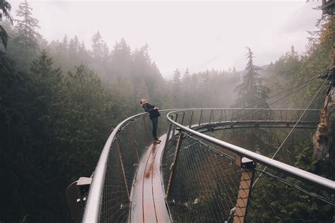 Free Images : water, forest, snow, winter, fog, morning, guy, suspension bridge, vehicle ...