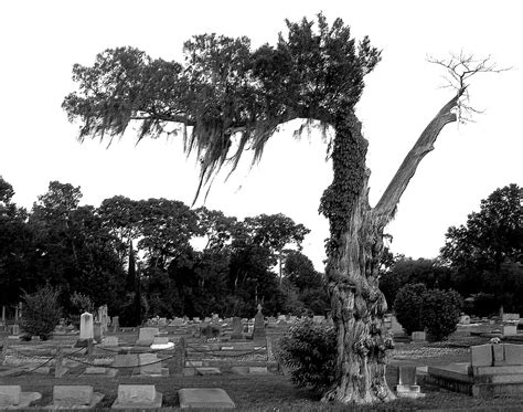 Living Rootless: Lafayette: Cemetery With Two Names