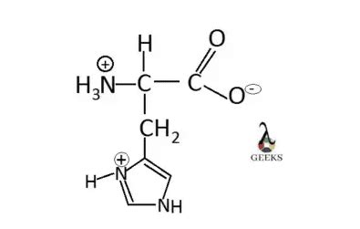 Histidine Amino Acid Structure, Properties, Uses, And Facts