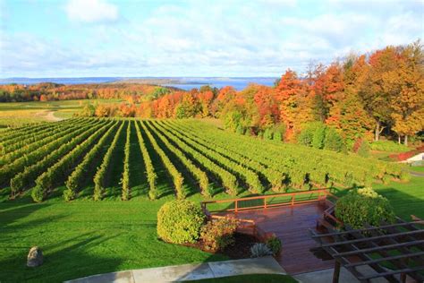 6 Can't-Miss Traverse City Wineries - BVW Unsalted Vacations