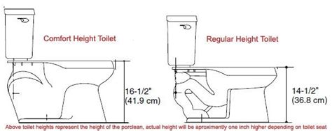 Qual è ' la differenza tra WC ad altezza standard e WC ad altezza ...