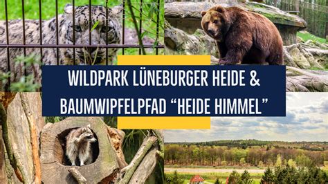 Wild-Park Lüneburger Heide & Baumwipfelpfad "Heide Himmel" - Unterwegs in Niedersachsen ...