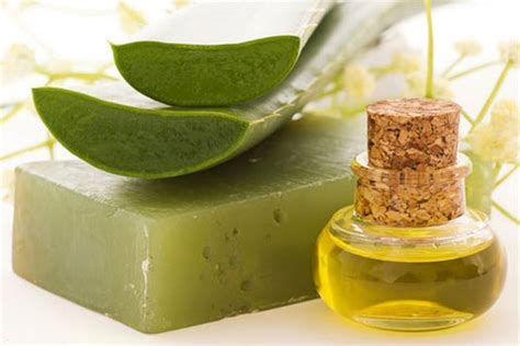 Aloe Vera Soap Benefits For Skin | How to Make it Using Aloe Vera Soap Base – VedaOils