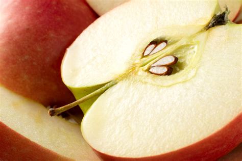 Are Apple Seeds Poisonous?