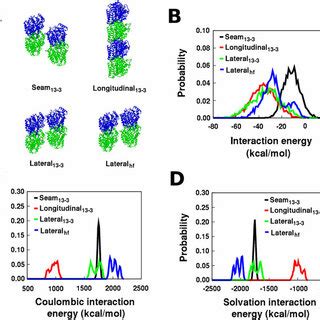 Tubulin assembly structures consisting of 50 tubulin heterodimers to... | Download Scientific ...