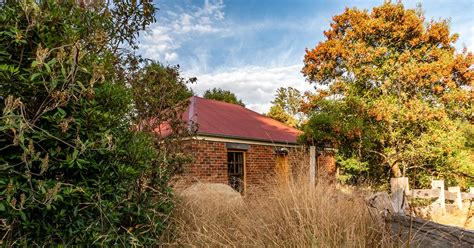 Ah Ping Accommodation near Derby Tasmania - Tin Dragon Cottages