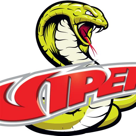 Viper_snake_logo_4c | Viper, Snake logo, Degreasers