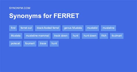 Another word for FERRET > Synonyms & Antonyms