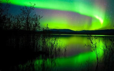 Green Northern Lights Canada Hd Wallpaper 1800x2880 : Wallpapers13.com